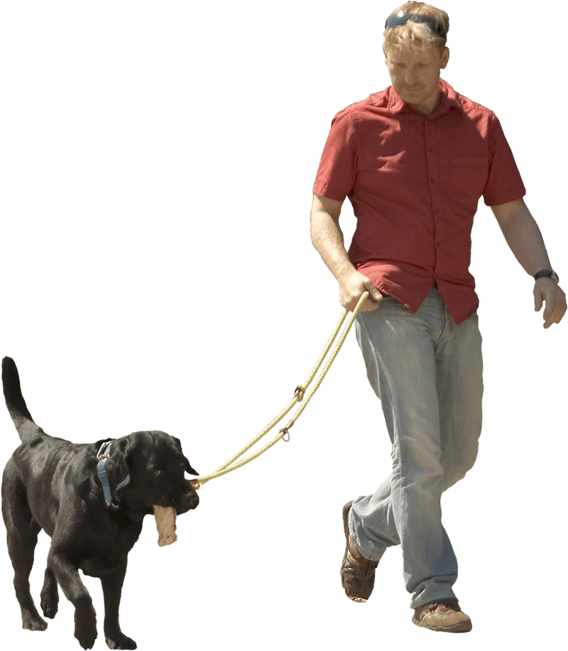 Adventures in Pet Stuff Walks with Love PNG