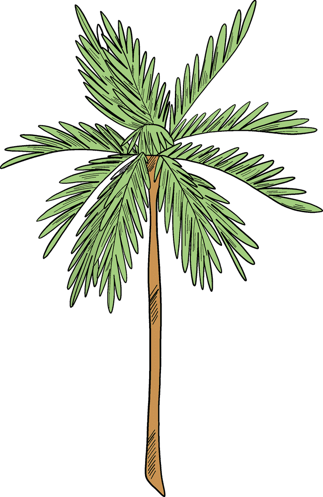 Sunshine Oasis with a Palm Tree PNG