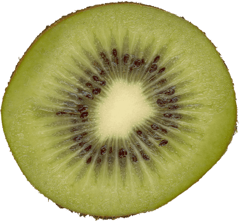 Freshly Sliced Kiwi Fruit Delight PNG