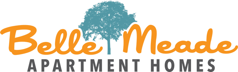 Wholesome Matcha Powder Bliss PNG