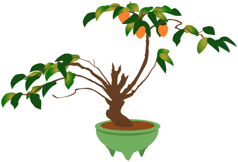 Vibrant Bonsai Tree with Fruitful Branches PNG
