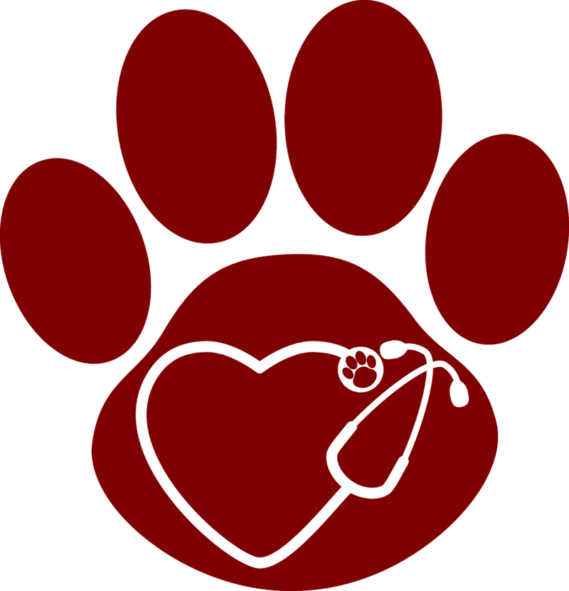 Stethoscope of Compassionate Care PNG