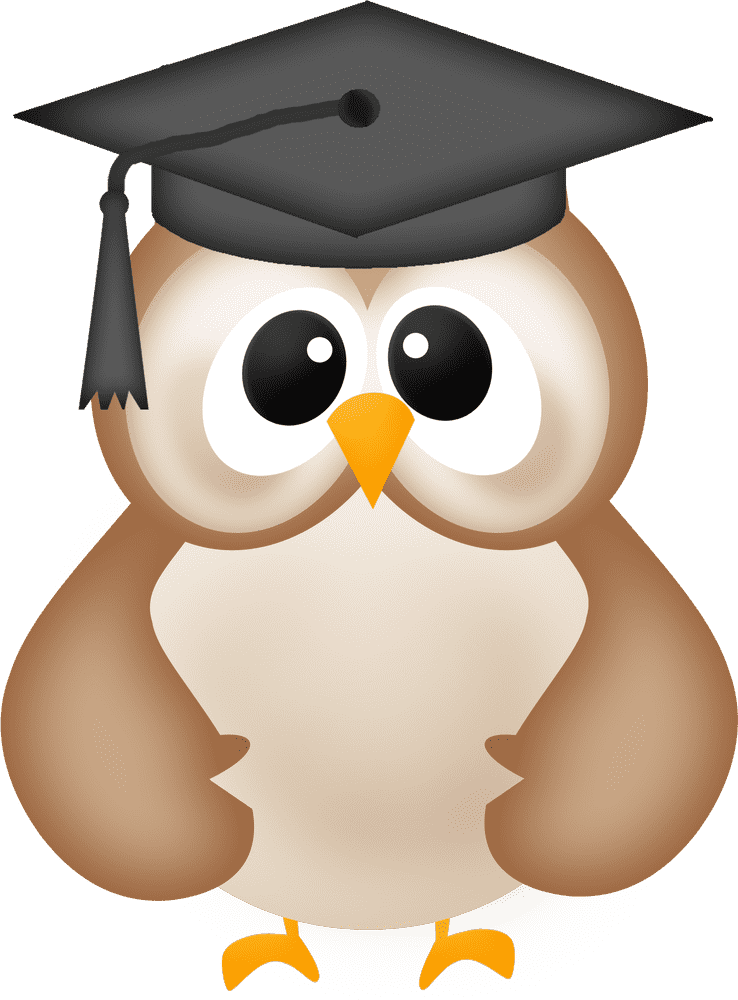 Wise Graduation Owl Celebration PNG