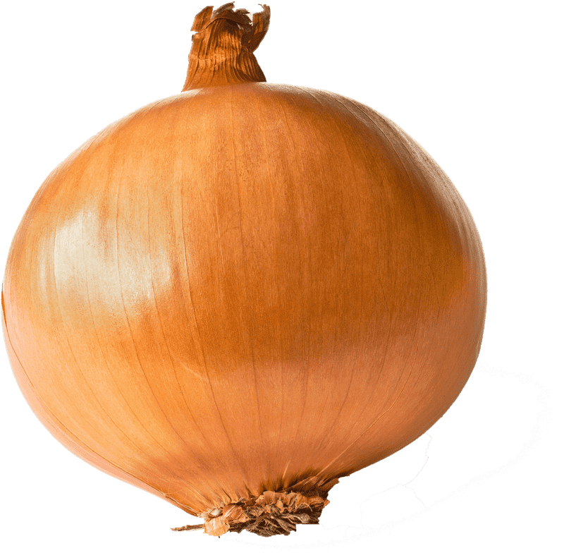 Golden Onion Rings Delight PNG