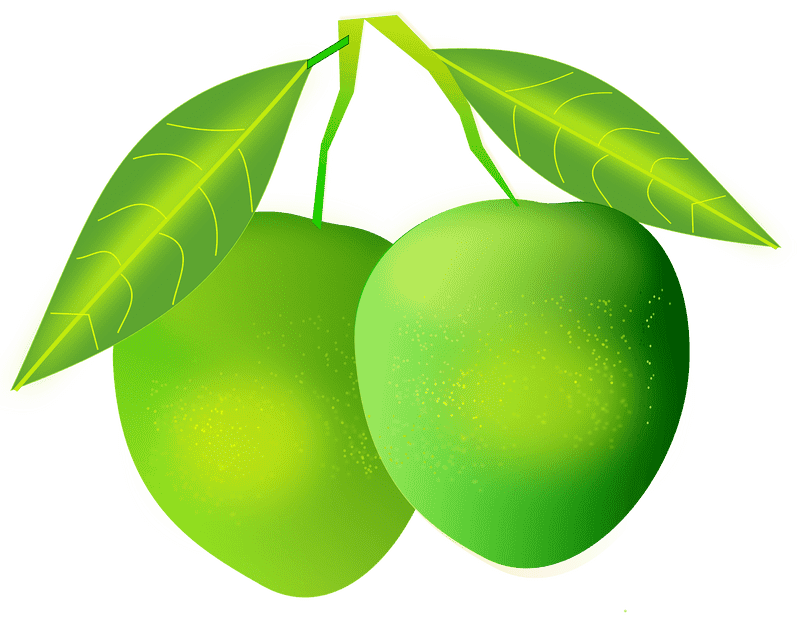 Mango Delight A Taste of Summer Freshness PNG