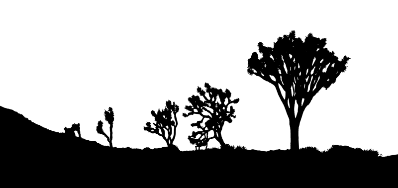 Silhouettes of Resilience The Desert Landscape PNG