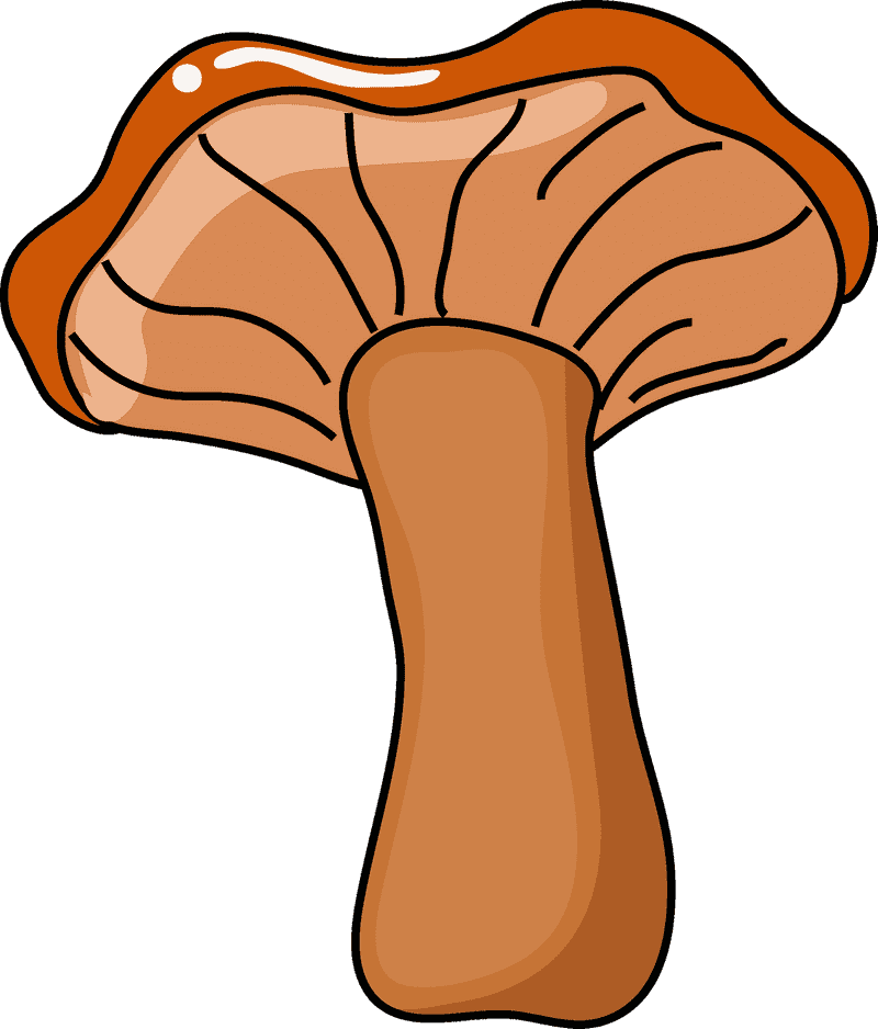 Deliciously Creamy Mushroom Soup Delight PNG