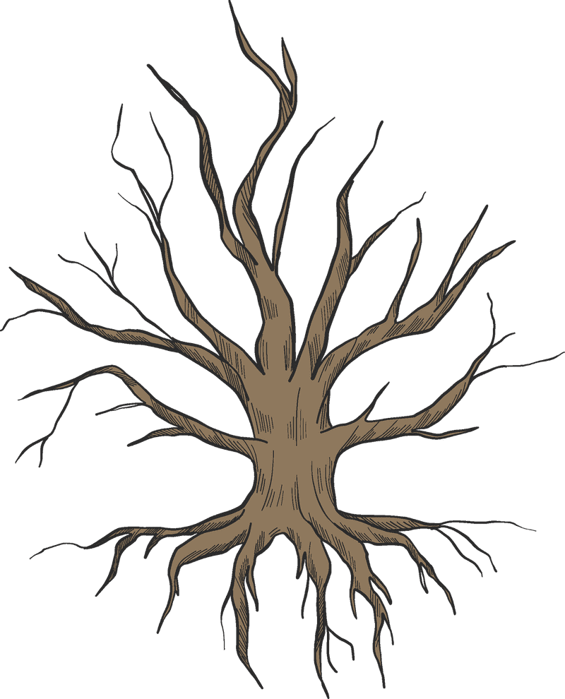 Ginger Root Nature's Spicy Wonder PNG