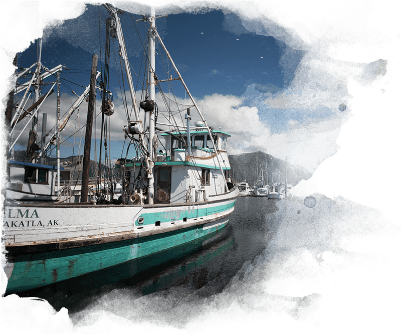 Tranquil Waters Harbor A Fishing Haven PNG