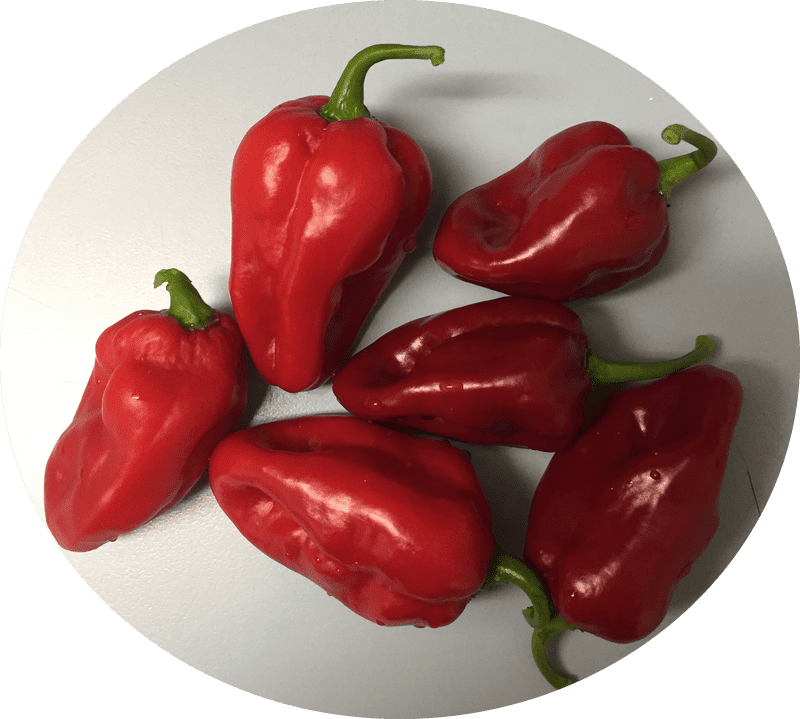 Casino Roulette A Bet on Flavor with Red Peppers PNG