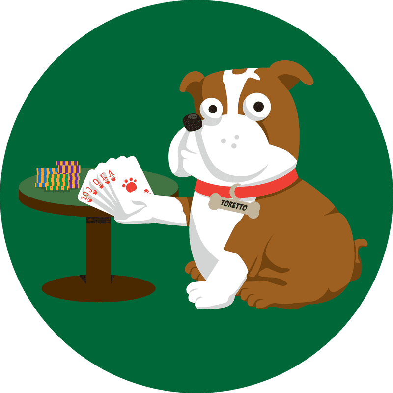 Playful Pet Collar for Your Card-Shark Companion PNG