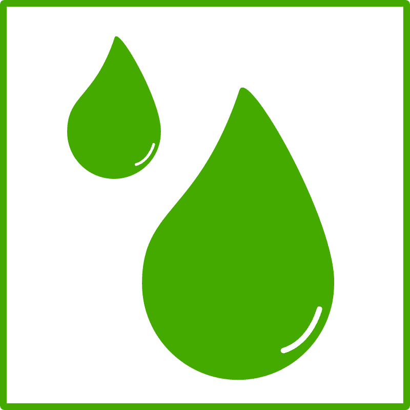 Green Card Design with Fresh Leaf Drops PNG