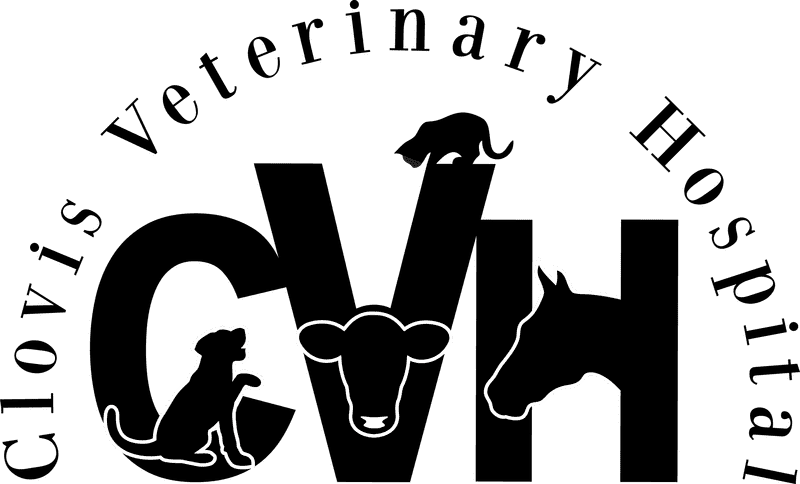 Animal Hospital for Diverse Pets and Livestock PNG