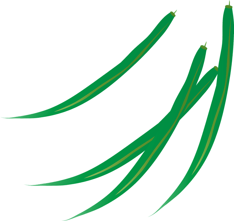 Green Card Symbol of Opportunity and Growth PNG