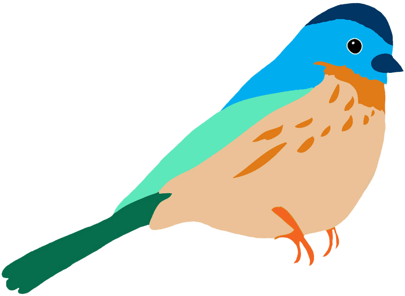 Colorful Songbird of Paradise PNG
