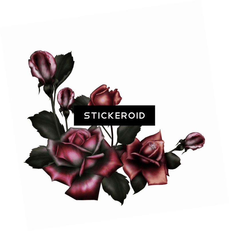 Elegant Dark Rose Flower Arrangement PNG