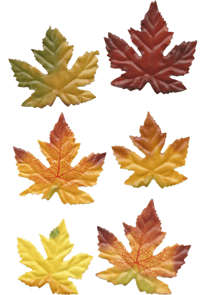 Autumn's Palette of Colorful Leaves PNG