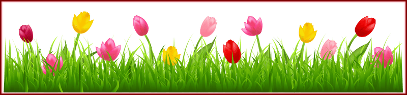 Colorful Tulips Among Vibrant Green Grass PNG