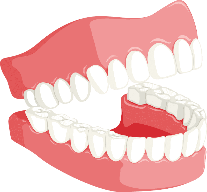Dynamic Dental Model for Oral Health Education PNG