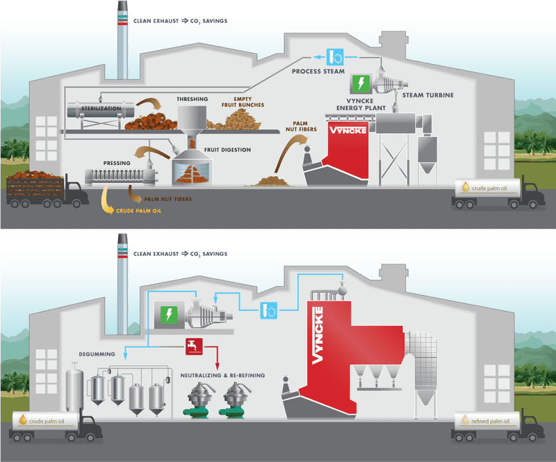 Oil Production Process in Palm Oil Extraction PNG