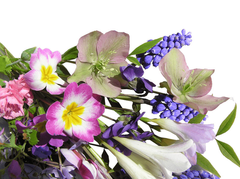 Colorful Spring Flower Bouquet PNG