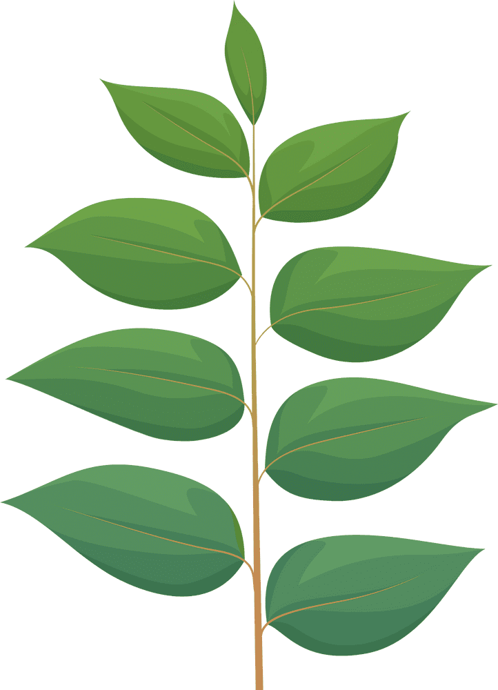 Spring Awakening A Celebration of New Growth PNG