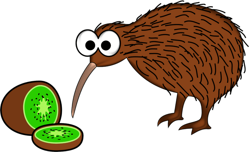 Whimsical Kiwi Bird with Delicious Kiwi Fruit PNG