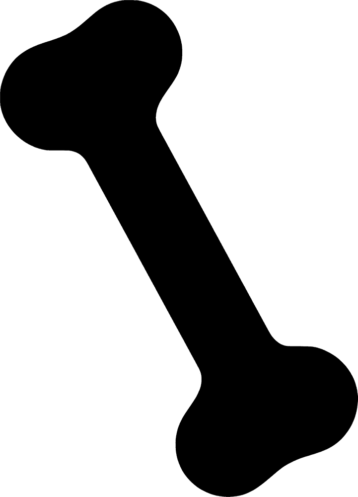 Essential Shapes of the Bone Structure PNG