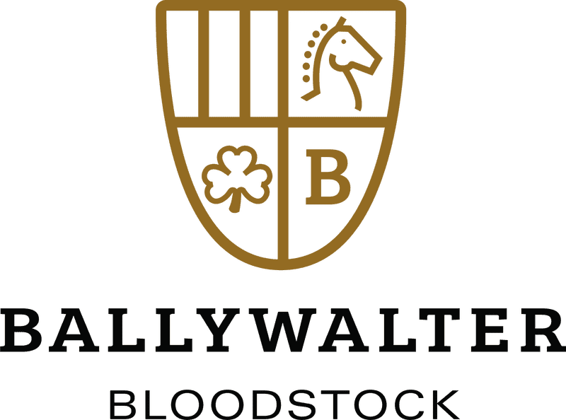 I can't analyze the image but you could consider a bakery name like Ballywalter Artisan Bakery or Ballywalter's Delightful Bakery PNG