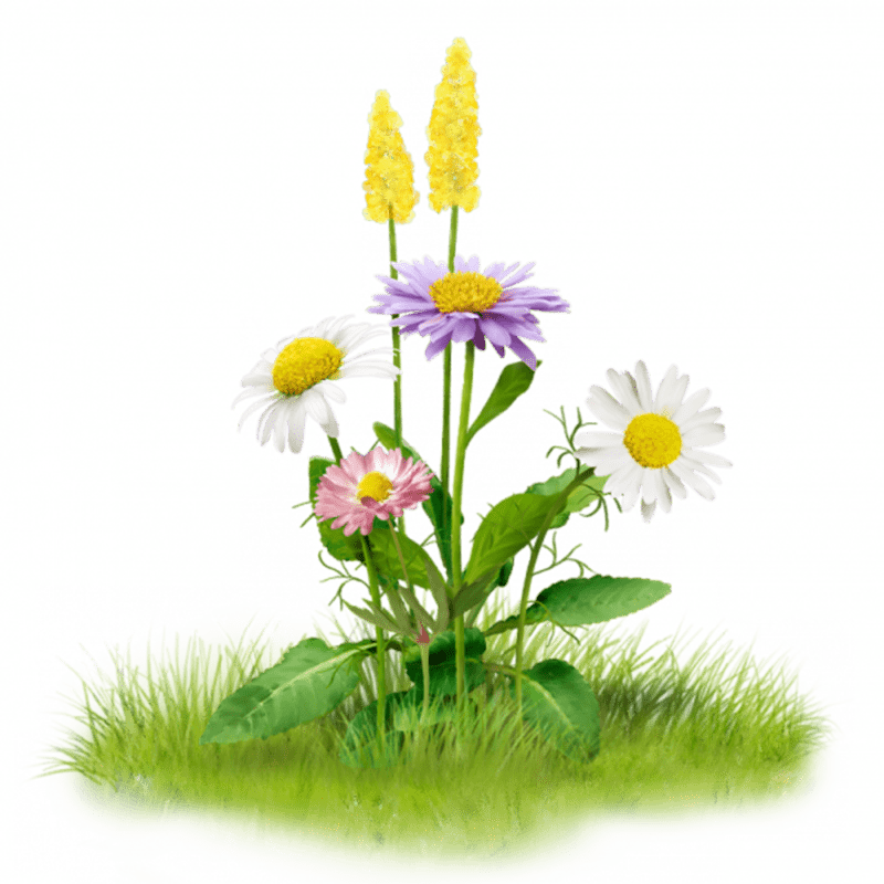 Vibrant Wildflowers on Lush Green Grass PNG