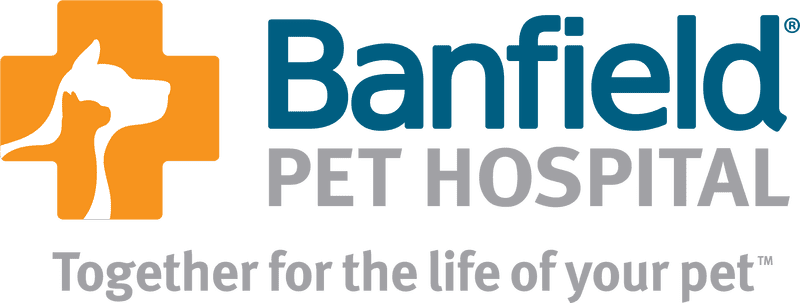Essential Pet Stuff for Your Furry Friends PNG