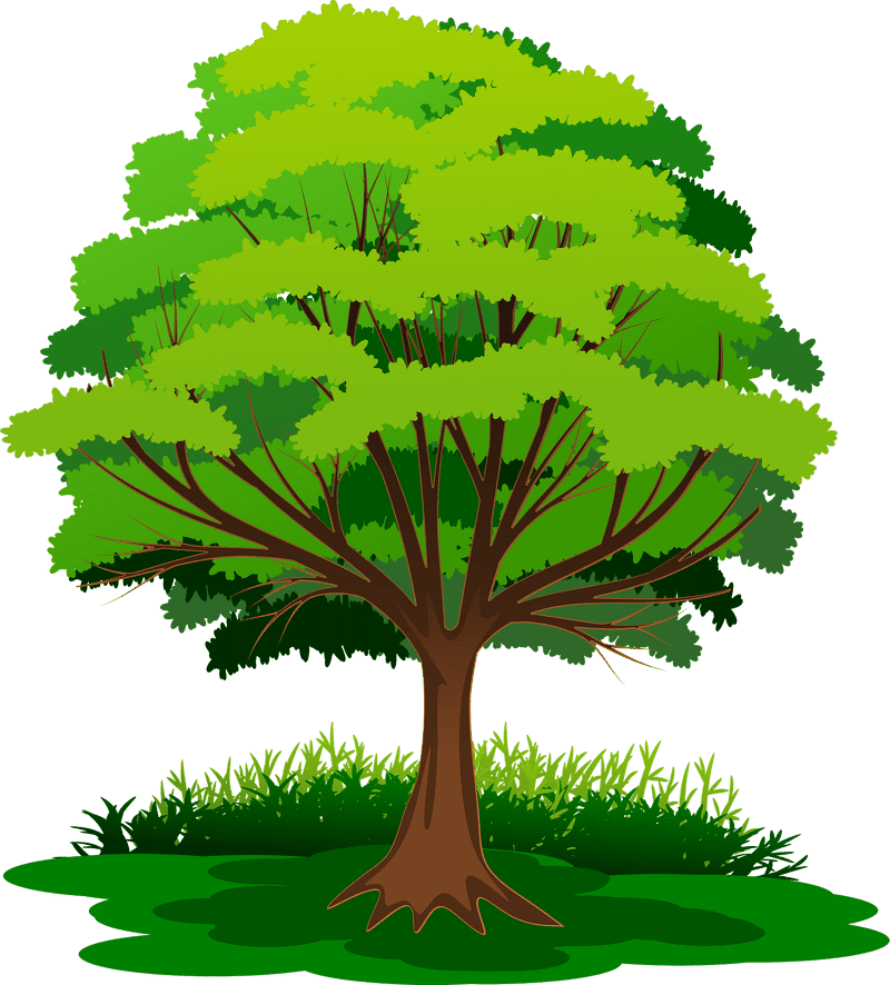 Lush Green Grass Under a Majestic Tree PNG