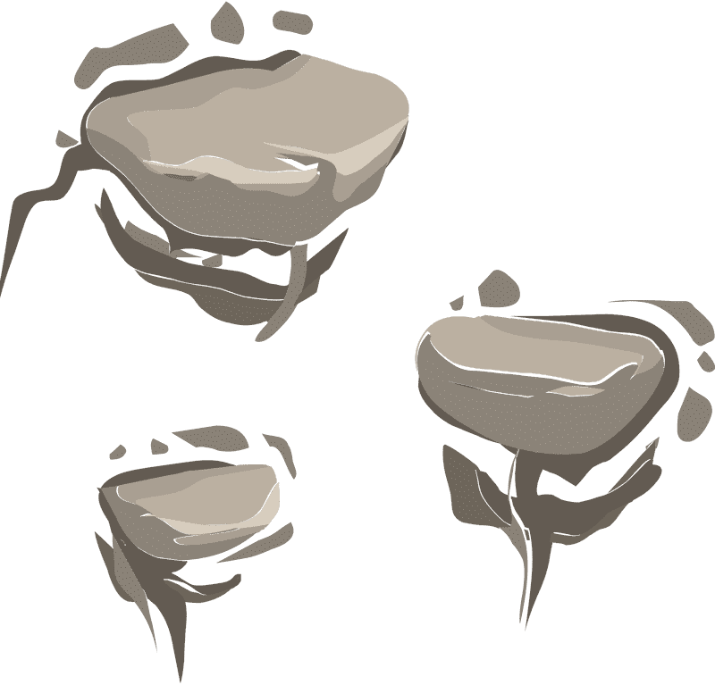 Natural Ladder of Stone and Growth PNG