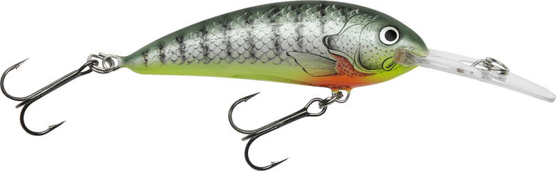 Fishing Lure The Ultimate Catching Tool PNG