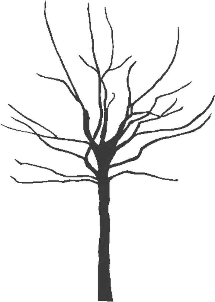 Lonely Silhouette of a Leafless Tree PNG