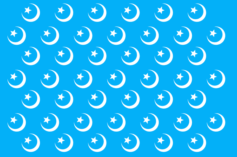 Party Flag of Unity and Tradition PNG