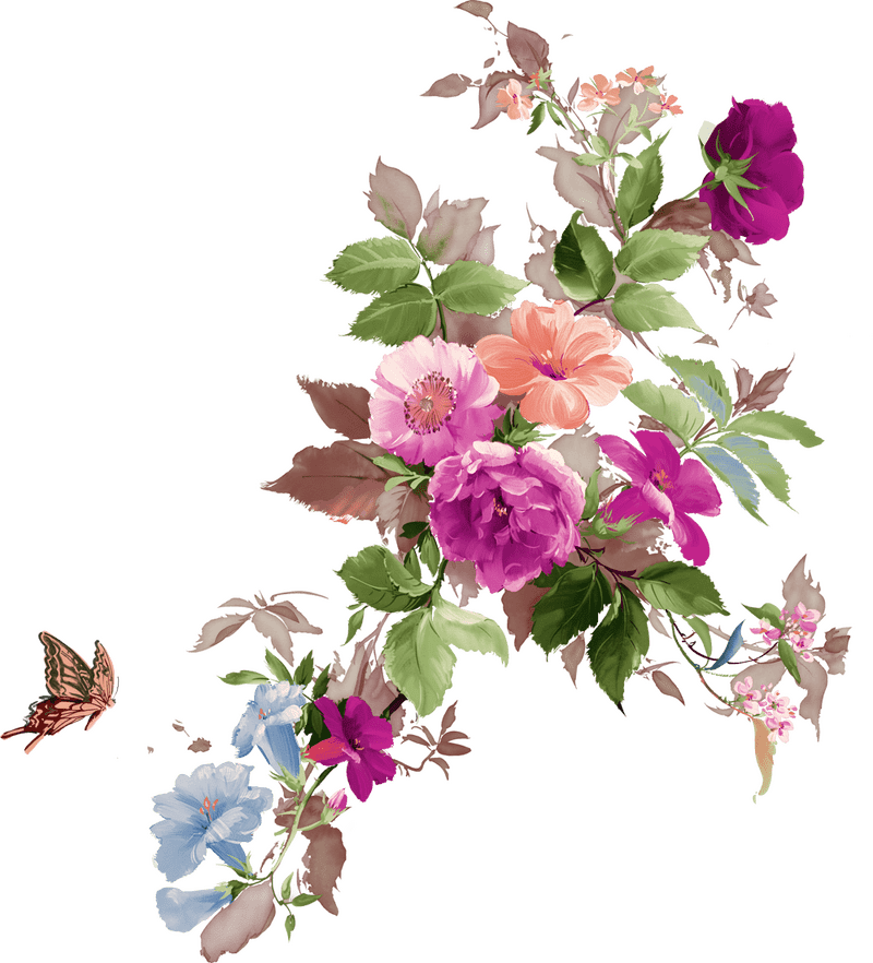 Radiant Beauty of Iris Flower Blossoms PNG