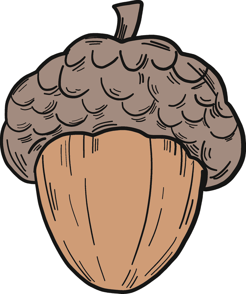 Whimsical Acorn Delight PNG