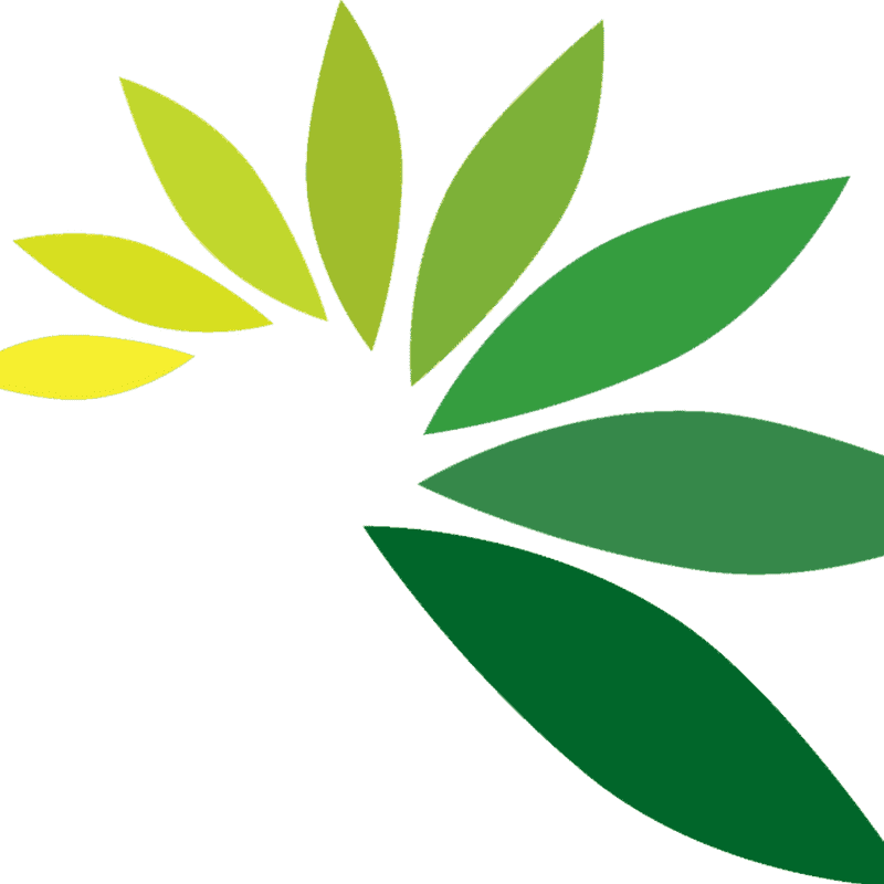 Efficient Leaf Blower for Lush Gardens PNG