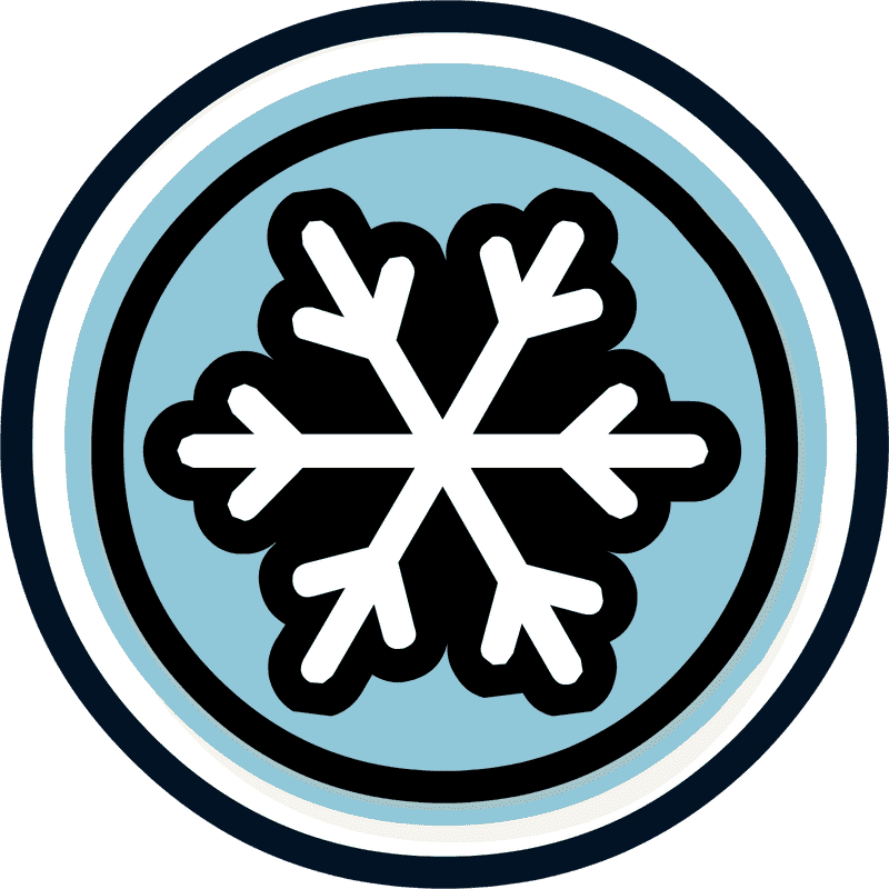 Snowflake Symphony Nature's Frosty Art PNG