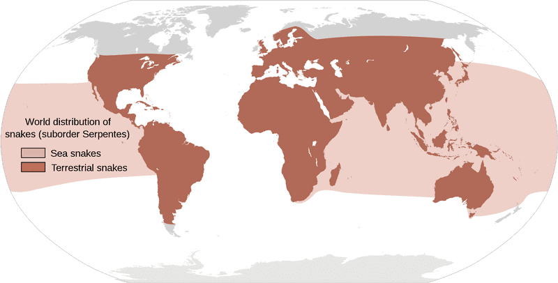 World Map of Snake Distribution by Habitat PNG