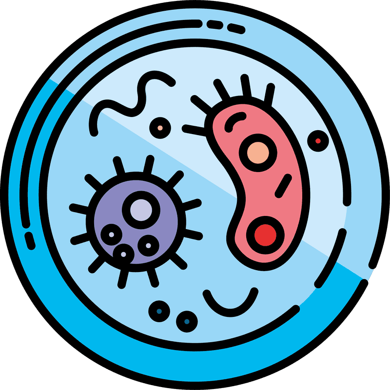 Colorful Representation of Diverse Bacteria PNG