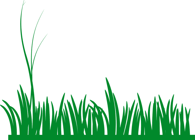 Vibrant Green Grass Serenity PNG