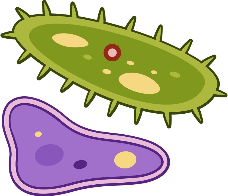Colorful Microbial World of Bacteria PNG