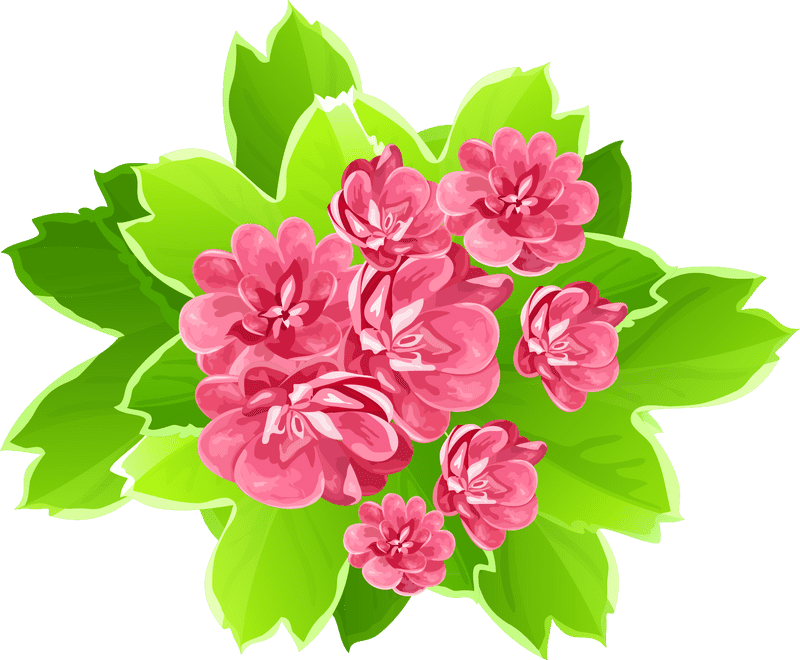 Vibrant Pink Blossom Flower Bouquet PNG