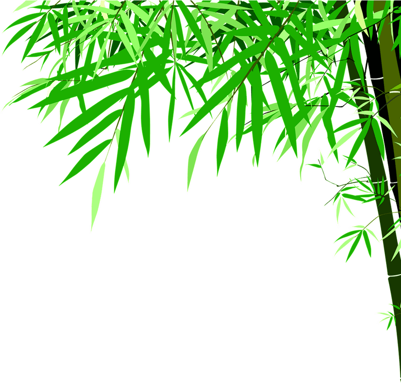 Whispers of the Bamboo Forest PNG