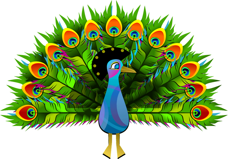 Majestic Peacock with Vibrant Feather Display PNG