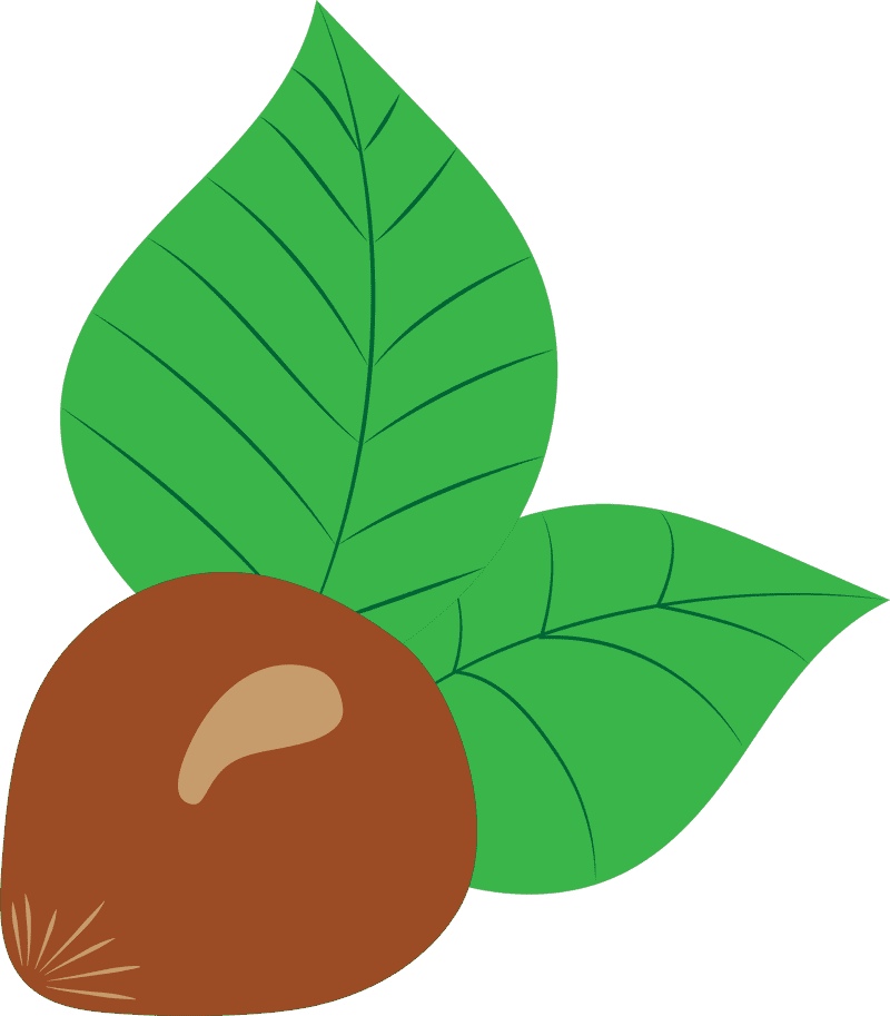 Hazelnut Delight with Fresh Green Leaves PNG