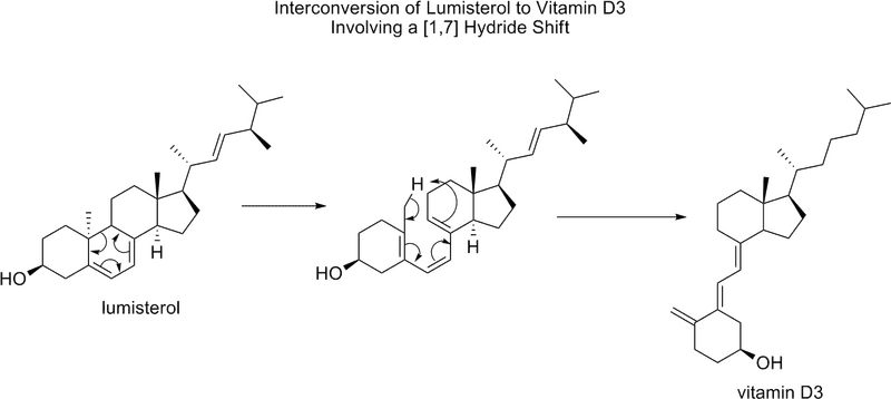 Vitamin D3 Biosynthesis and Interconversion Pathway PNG