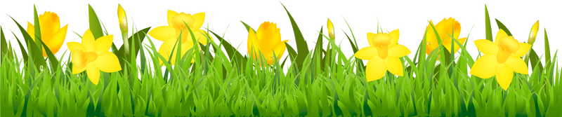 Sunny Blossoms Among the Grass PNG